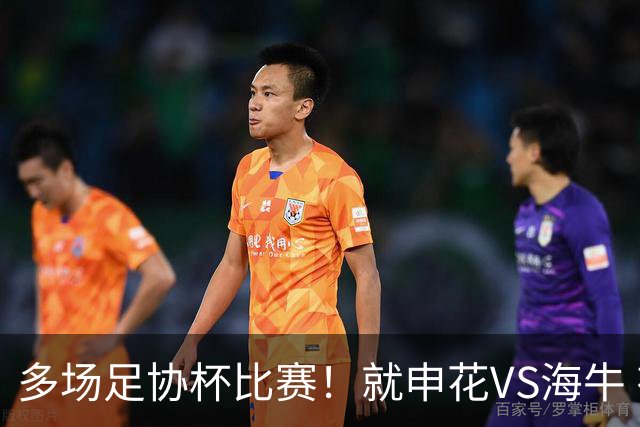 多场足协杯比赛！就申花VS海牛 有央视直播 而且还是CCTV5