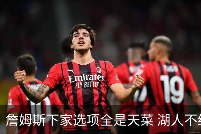 詹姆斯下家选项全是天菜 湖人不给的体面这些队能给